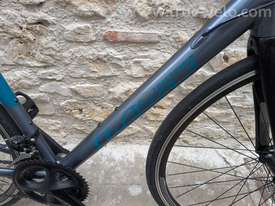 Wilier montegrappa 105 - 2