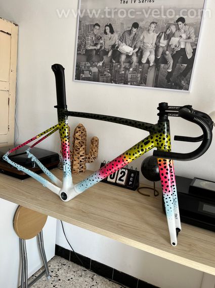 Kit cadre Specialized Allez Sprint Disc (Édition Limitée Rainbow Trout) - Taille 49 - 2