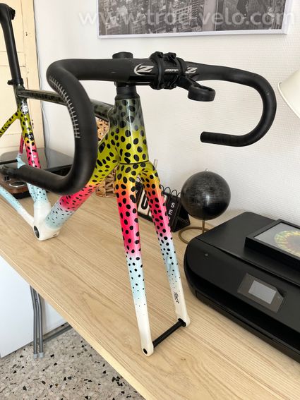 Kit cadre Specialized Allez Sprint Disc (Édition Limitée Rainbow Trout) - Taille 49 - 3
