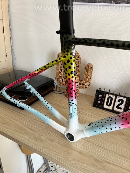 Kit cadre Specialized Allez Sprint Disc (Édition Limitée Rainbow Trout) - Taille 49 - 5