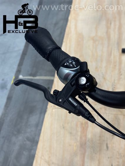 Riese & Müller Swing4 Silent Vélo électrique Shimano Nexus 2024 - 5
