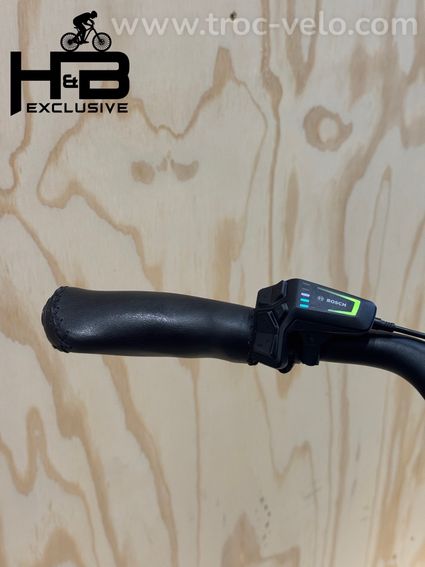 Riese & Müller Swing4 Silent Vélo électrique Shimano Nexus 2024 - 7