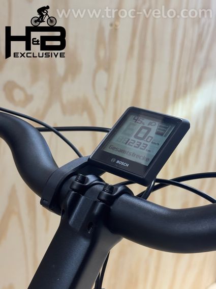 Riese & Müller Swing4 Silent Vélo électrique Shimano Nexus 2024 - 8