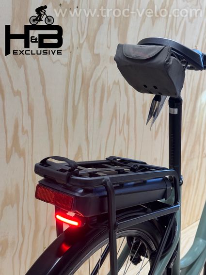 Riese & Müller Swing4 Silent Vélo électrique Shimano Nexus 2024 - 10