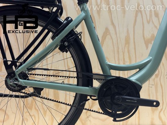 Riese & Müller Swing4 Silent Vélo électrique Shimano Nexus 2024 - 12