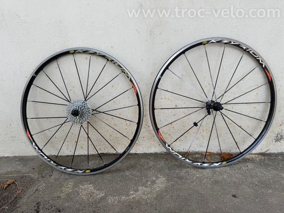 Ultimate Pro Series - 5