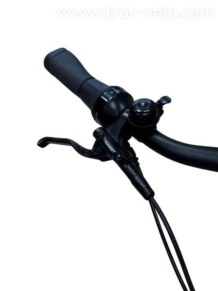 Diamant Beryll Deluxe+ Vélo électrique Shimano Nexus 2023 - 5