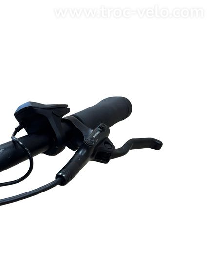 Diamant Beryll Deluxe+ Vélo électrique Shimano Nexus 2023 - 6