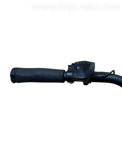 Diamant Beryll Deluxe+ Vélo électrique Shimano Nexus 2023 - 7