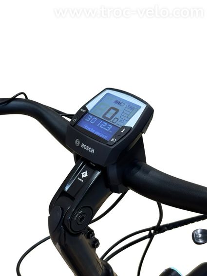 Diamant Beryll Deluxe+ Vélo électrique Shimano Nexus 2023 - 8