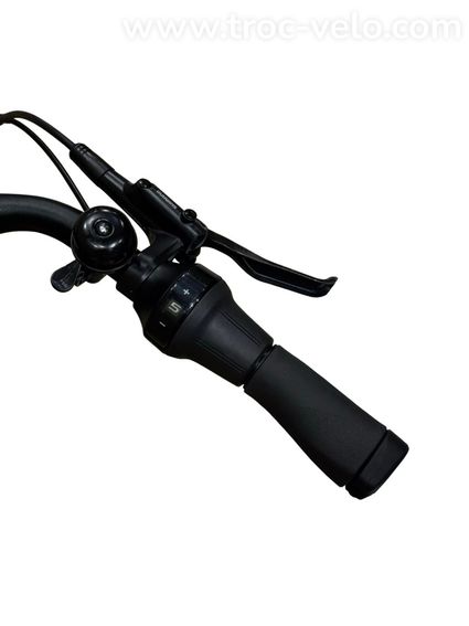 Diamant Beryll Deluxe+ Vélo électrique Shimano Nexus 2023 - 9