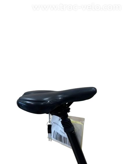 Diamant Beryll Deluxe+ Vélo électrique Shimano Nexus 2023 - 10