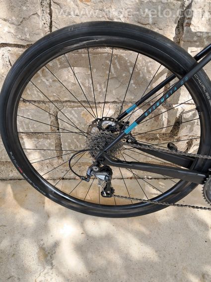 SantaCruz stigmata - 3