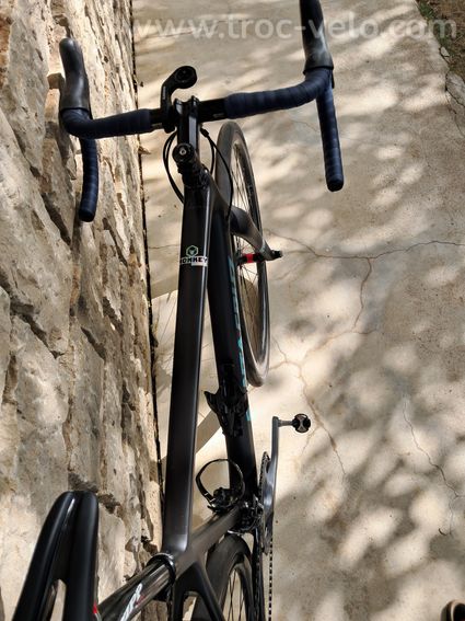 SantaCruz stigmata - 5