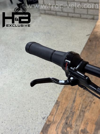 Diamant Opal+ Vélo électrique Shimano Nexus 2022 - 5