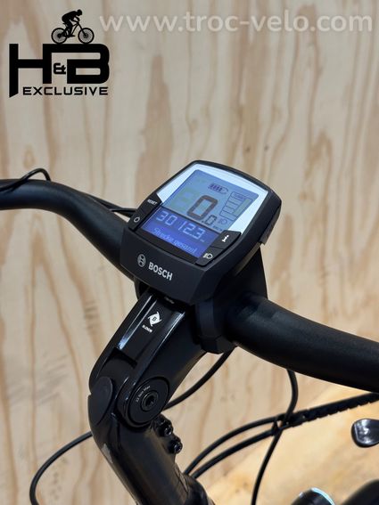 Diamant Beryll Deluxe+ Vélo électrique Shimano Nexus 2023 - 8