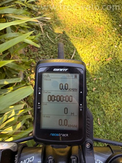 Giant Propel Advanced Carbone – Shimano Ultegra R8000 – Roues Scope Five CR Carbone – Taille M - 8