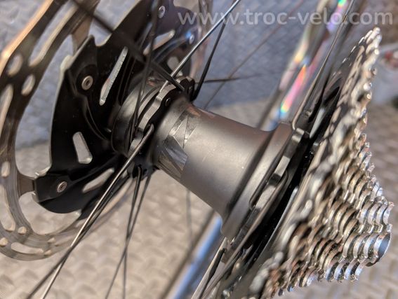 🏆ZIPP 353 NSW DB COGNITION 🏆 - 7