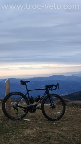 Megamo RAISE 2025 Full carbone - 10