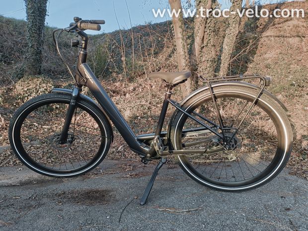 Vélo de ville électrique Orbea Optima E50 - 2