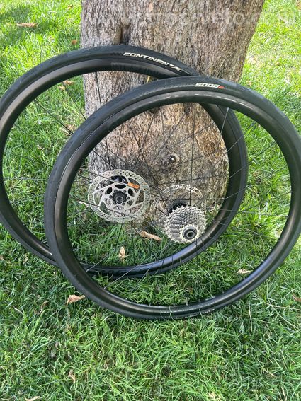 Roues Bontrager Paradigm Comp TLR Disc
