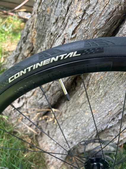 Roues Bontrager Paradigm Comp TLR Disc - 7