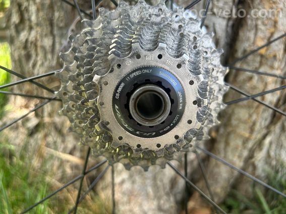 Roues Bontrager Paradigm Comp TLR Disc - 8