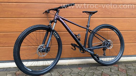 Giants Liv Tempt 29 1