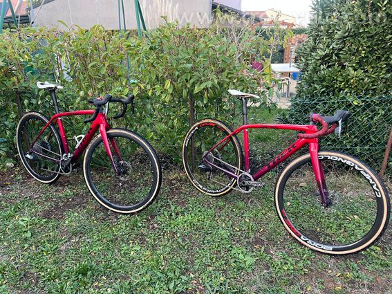 TREK Boone7