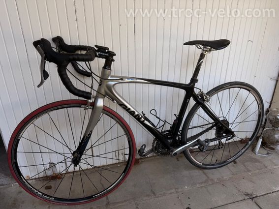 ⸻ Giant SCR C3 Composite – Carbone – Shimano 105