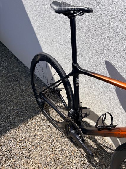 Giant tcr  - 3