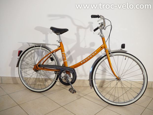 🦁Vélo vintage Peugeot NS 600  - 1