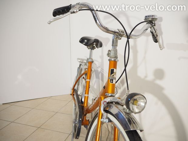 🦁Vélo vintage Peugeot NS 600  - 2