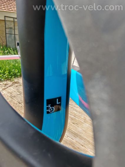 Cadre LPM size L carbon up black blue red OVV AM 700 GLP GLOSSY/MATT 2019 - 8