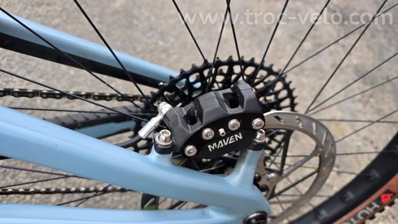 Santa Cruz BULLIT Custom - 6