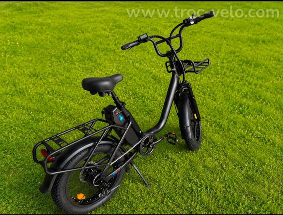 VÉLO ÉLECTRIQUE CARGO DS3 - 2