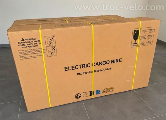 VÉLO ÉLECTRIQUE CARGO DS3 - 3