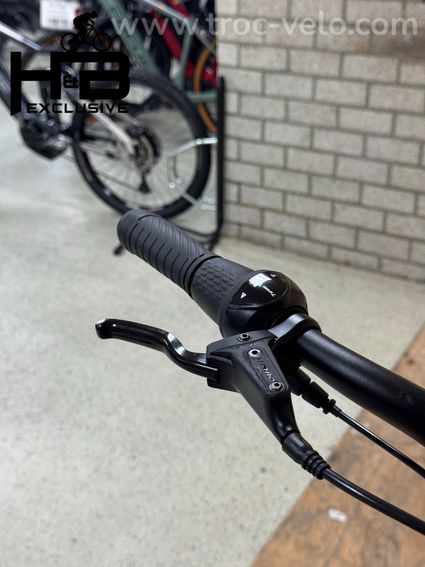 VanDijck Ceto Vélo électrique Shimano Nexus 2021 - 5
