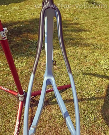 Cadre carbone pinarello DOGMA F - 10