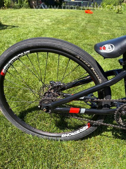 BMX race Cruiser 24 Staystrong PWR race DVSN - 2