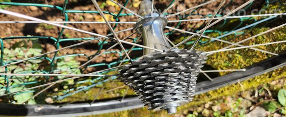 Roues 650c pneu Easton/ Velomax - 4