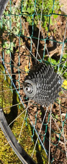 Roues 650c pneu Easton/ Velomax - 5