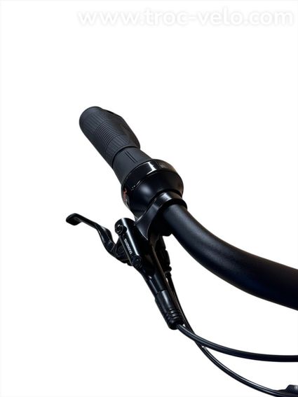 Advanced Tour Pro Vélo électrique Shimano Nexus 2023 - 5