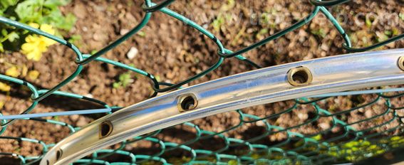 Paire de jantes Sigma Oxide Camagnolo 650c Neuves - 4
