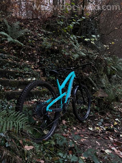 PROPAIN TYEE 29 L - 3