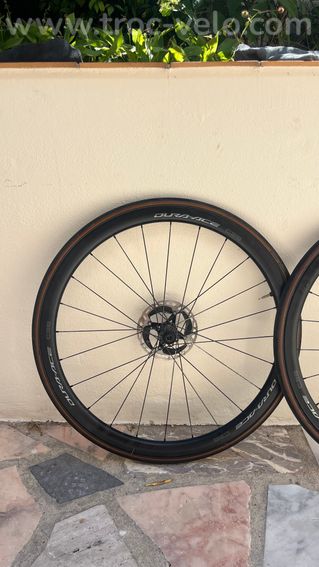 Madone SLR 7 Gen 8 2025 - 15