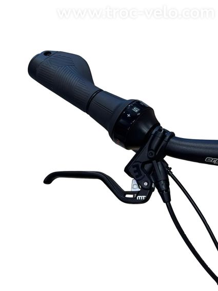Velo De Ville SEB 890 Vélo électrique Shimano Nexus 2024 - 5