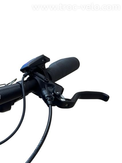 Velo De Ville SEB 890 Vélo électrique Shimano Nexus 2024 - 6