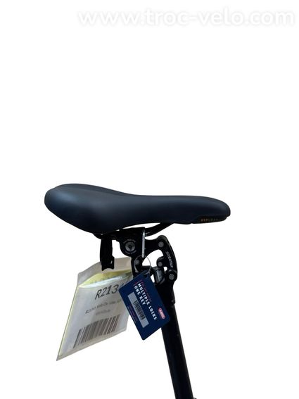 Velo De Ville SEB 890 Vélo électrique Shimano Nexus 2024 - 10