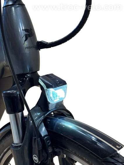 Pegasus Premio Evo 5 Belt Vélo électrique Shimano Nexus 2022 - 4